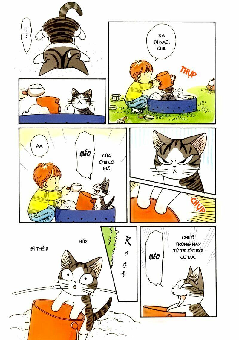 chi's sweet home chapter 25 2