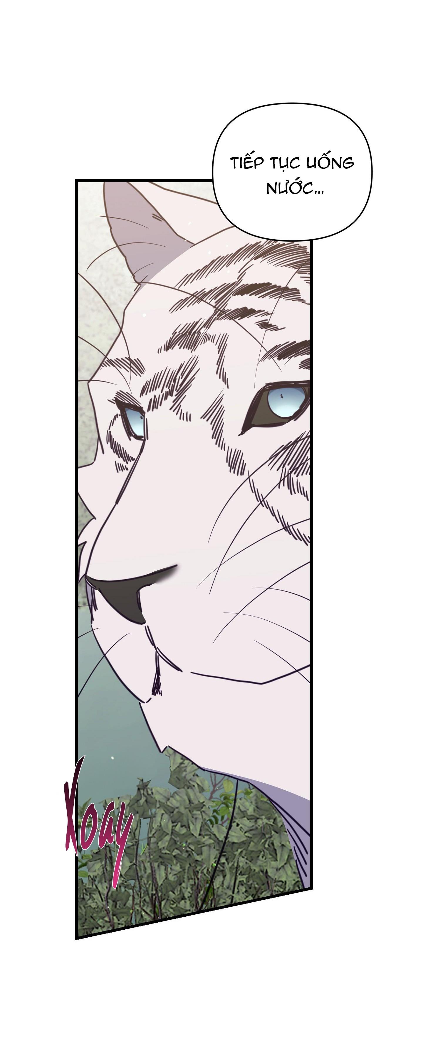 hổ trở về chapter 42 50