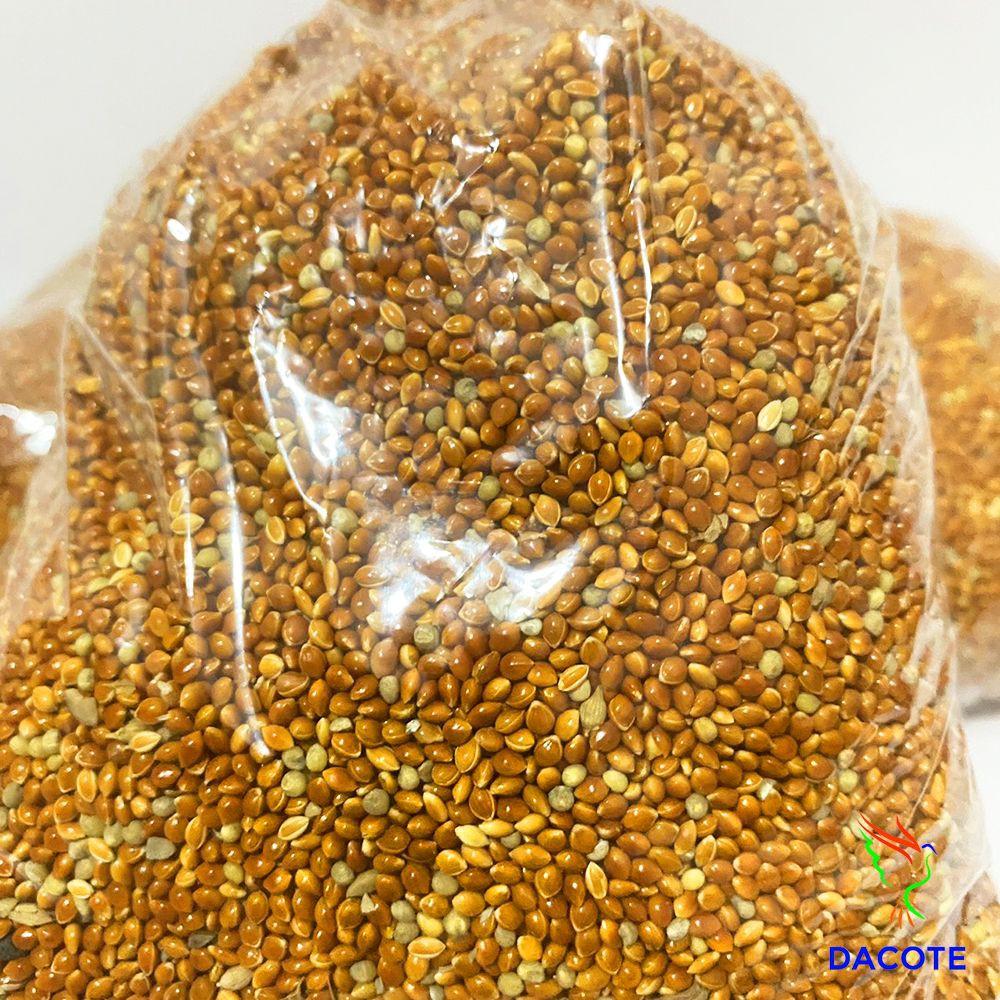 500g Kê đỏ loại to, hạt tròn bóng mẩy cho chim vẹt, sẻ, manh manh nhật, sắc nhật, yến hót, bạc má...