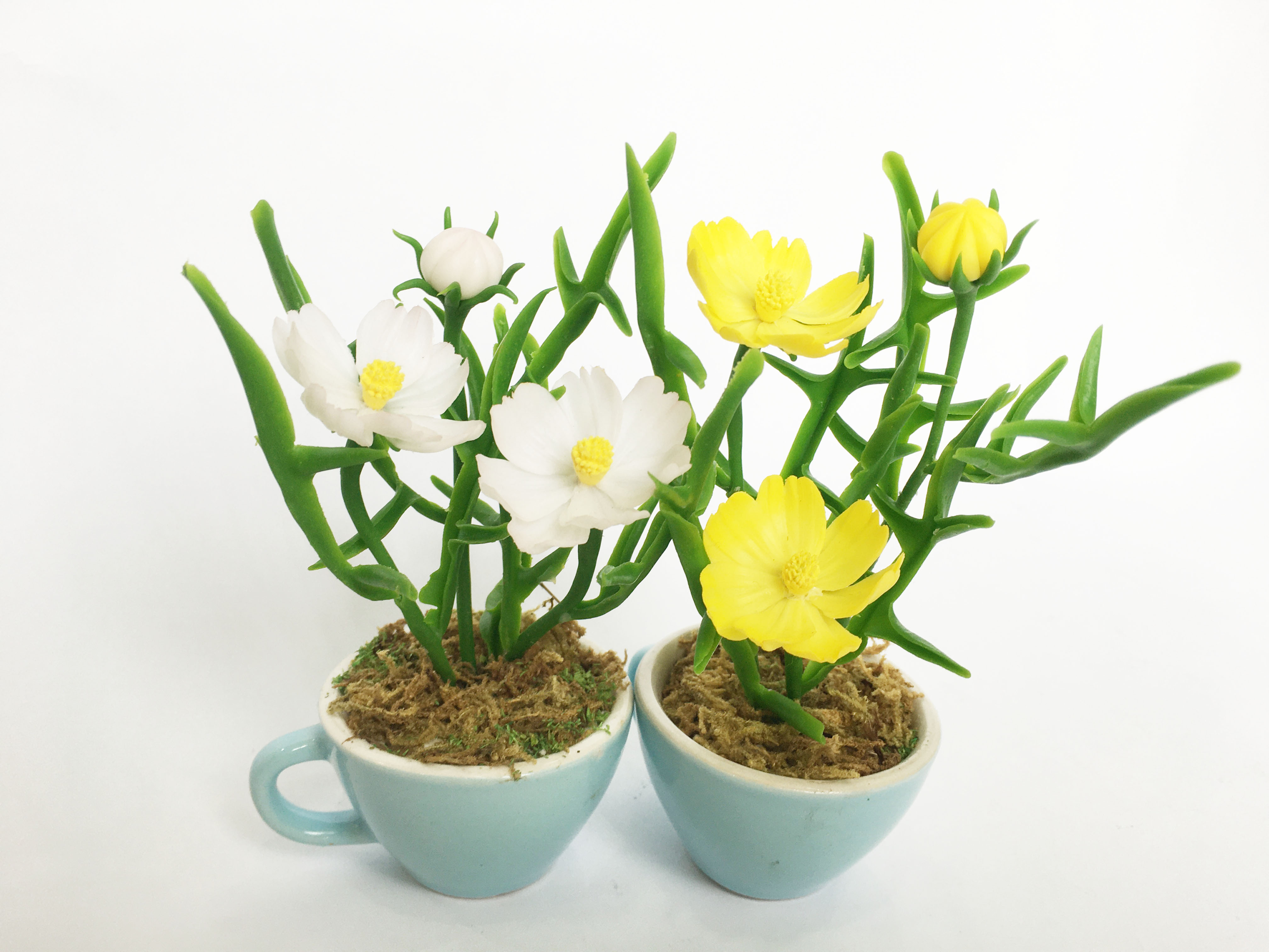 Chậu hoa đất sét mini- Bụi sao nhái trong cốc - Quà tặng trang trí handmade