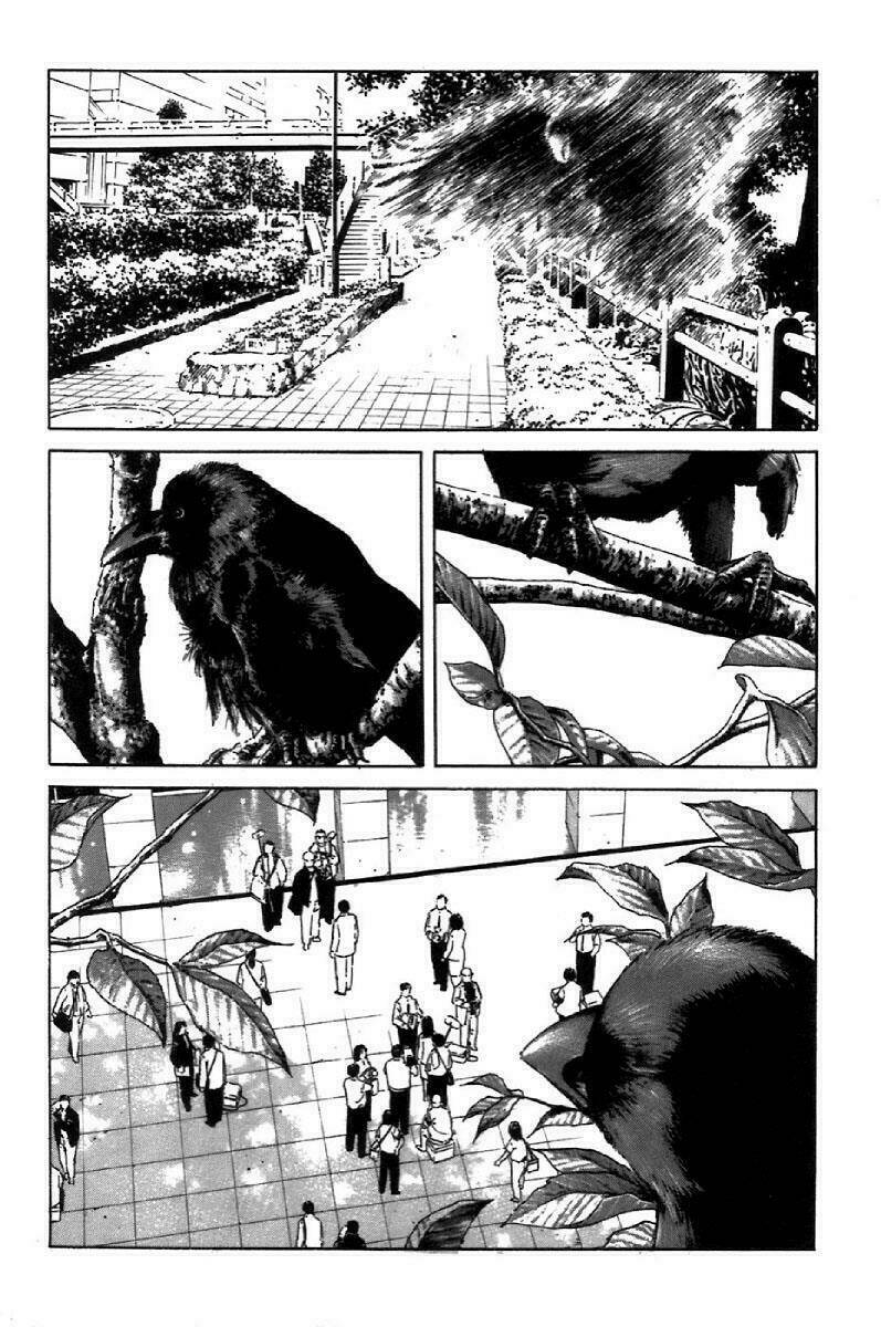 m.c.law chapter 5.8 2