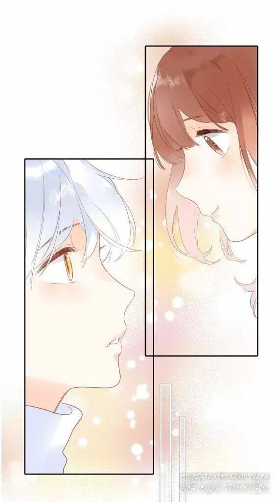 sos! tôi đã yêu một con sâu bướm (phần 2) chapter 58 47