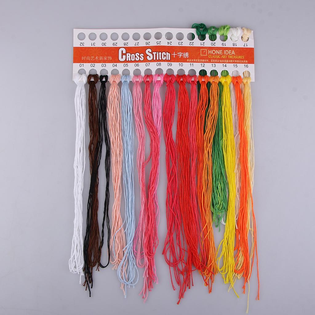 DIY Princess Embroidery Beginners with Hoop Sewing Thread & Instructions