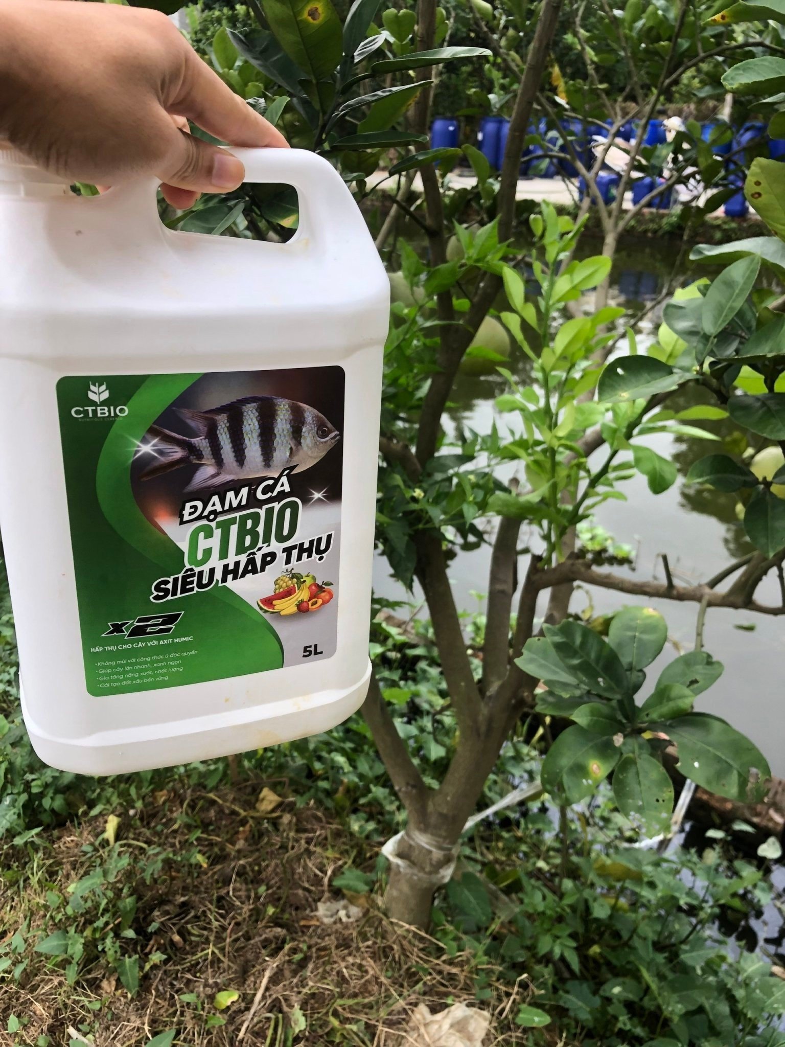 Siêu cải tạo đất với bộ 3 - Emzeo Đa chủng vi sinh vật + Đạm cá hữu cơ CTBIO +Axit Humic - giúp cải tạo cho diện tích 100m2