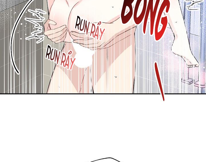 xác suất tình yêu chapter 37 116