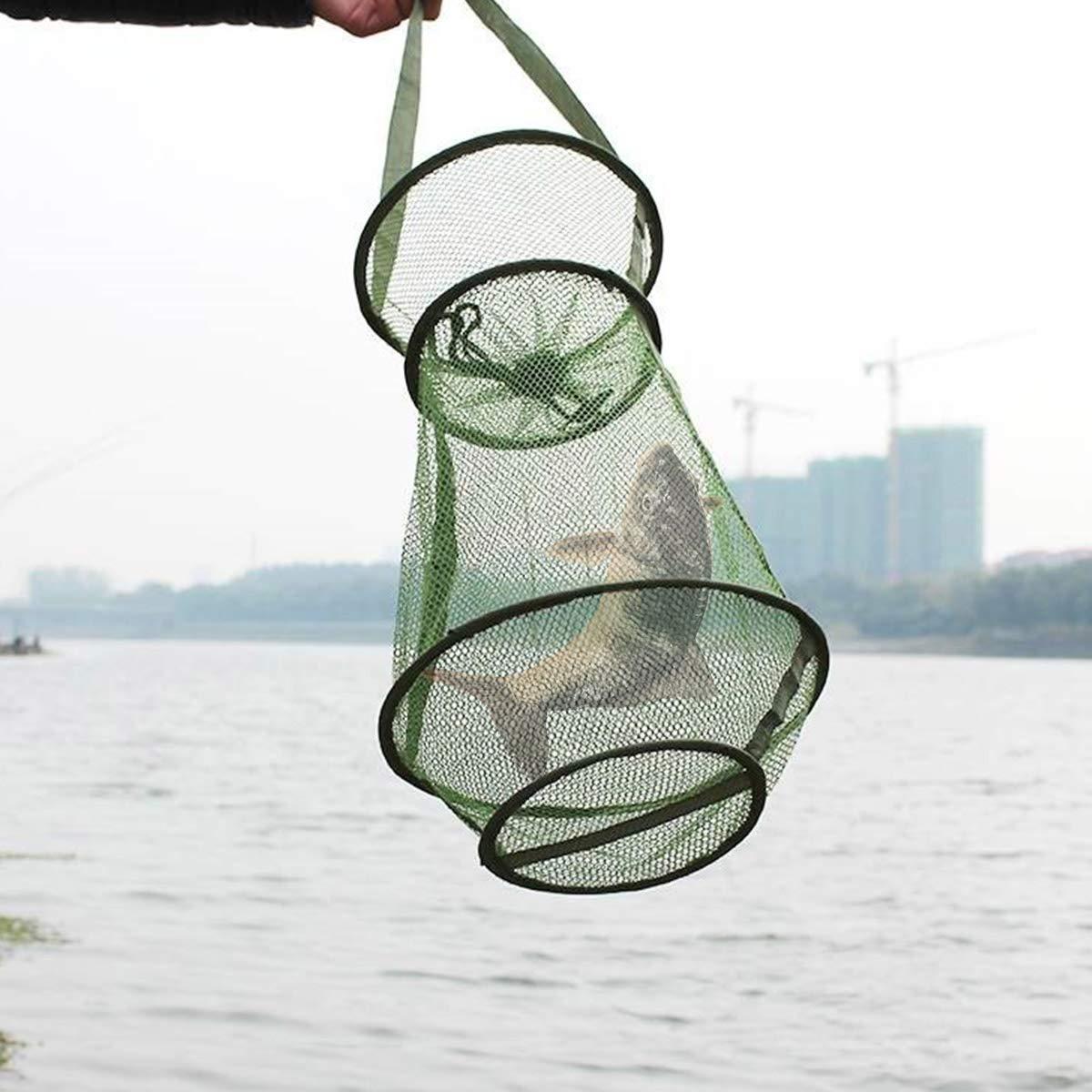 Reusen Bait Fishing Beam Fischreuse Aalreuse Ung thư Căn cứ Fishing Fishing Net Net Net