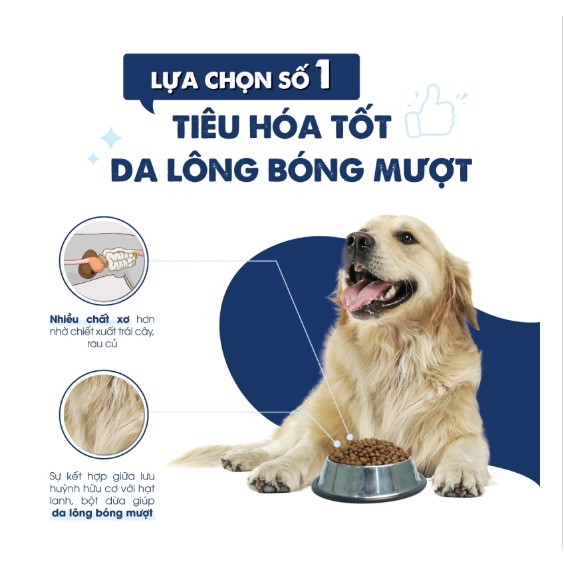 Thức ăn hạt cho Chó Today's dinner Adult Dog Gói 1kg Giúp da lông bóng mượt, tốt cho tiêu hóa, Xuất xứ Hàn quốc