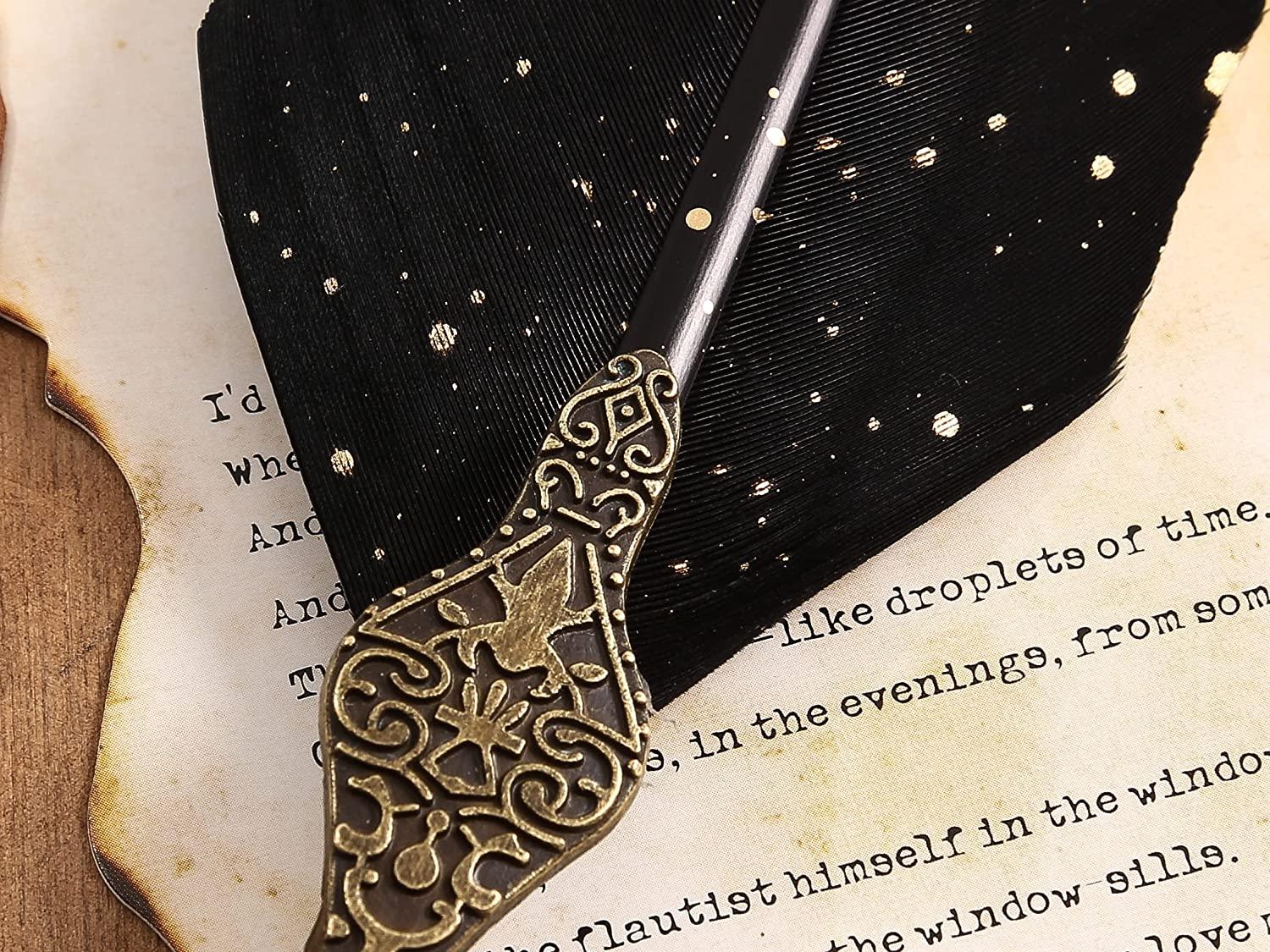 Bộ bút lông vũ chạm khắc cổ điển, Bút lông vũ lấp lánh Thư pháp Dip Pen with Ink