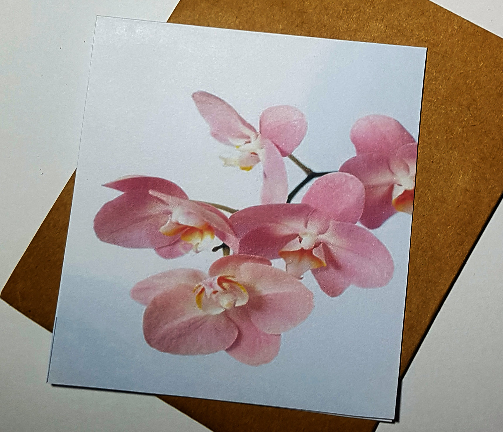 Thiệp phong cách Vintage card quà cám ơn ,chúc mừng sinh nhật và giử tặng người thân yêu.