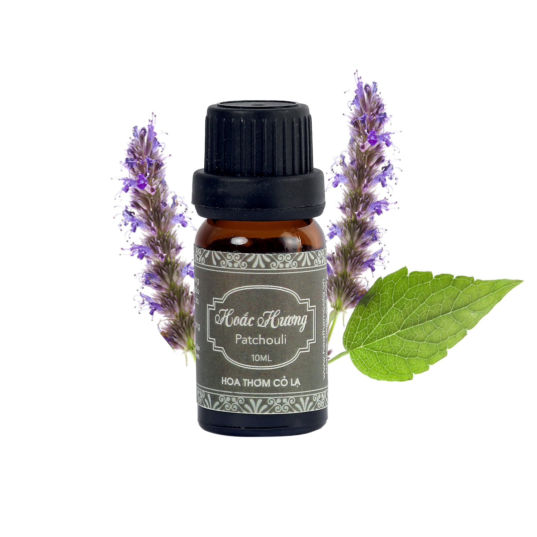 Tinh Dầu Hoắc Hương - Patchouli Essential Oil 10ml - Hoa Thơm Cỏ Lạ