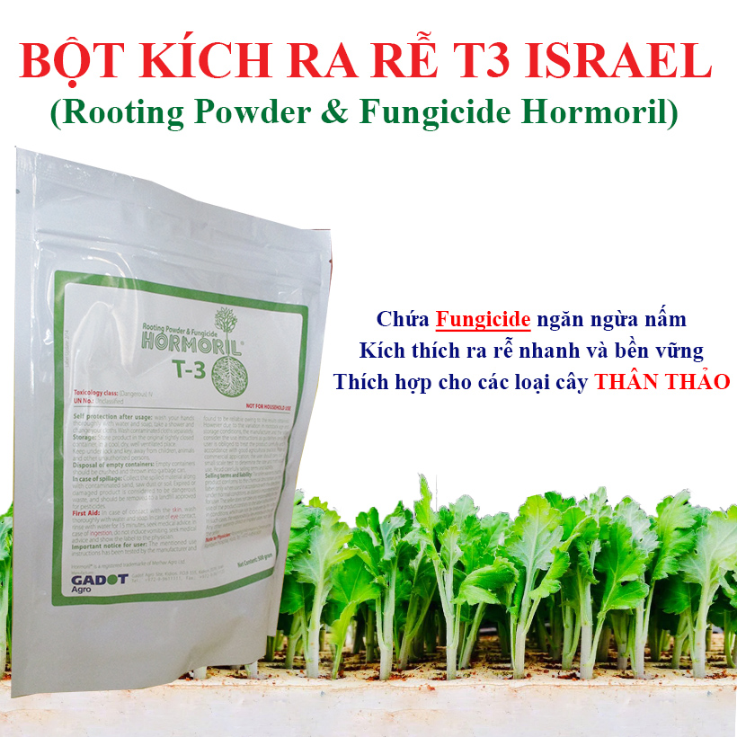 Nhập Khẩu Bột Kích Ra Rễ Israel cho cây thân Thảo, thân Mềm Hormoril T3 có thành phần ngăn ngừa nấm bệnh cho rễ con