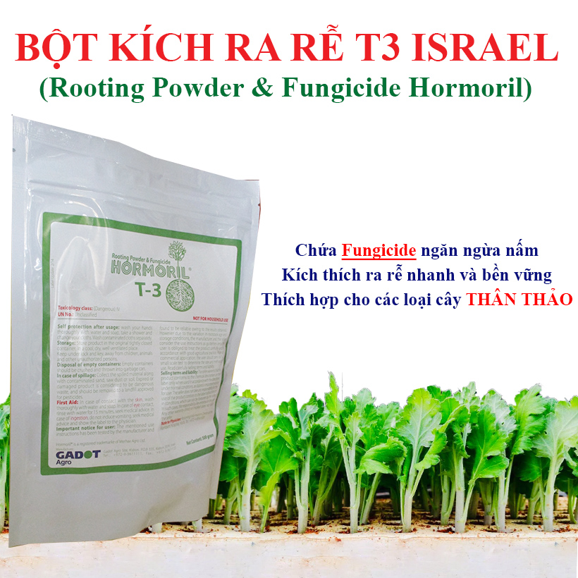 Nhập Khẩu Bột Kích Ra Rễ Israel cho cây thân Thảo, thân Mềm Hormoril T3 (with Fungicide)  có thành phần ngăn ngừa nấm bệnh cho rễ con