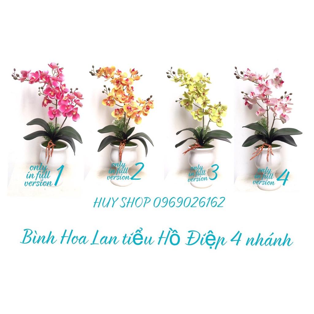 HOA LAN NHÂN TẠO - BÌNH LY HOA LAN TIỂU HỒ ĐIỆP ĐỂ BÀN MINI 4 NHÁNH