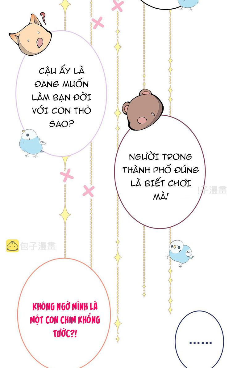 lại bị nam thần trêu lên hot search chapter 0.2 8