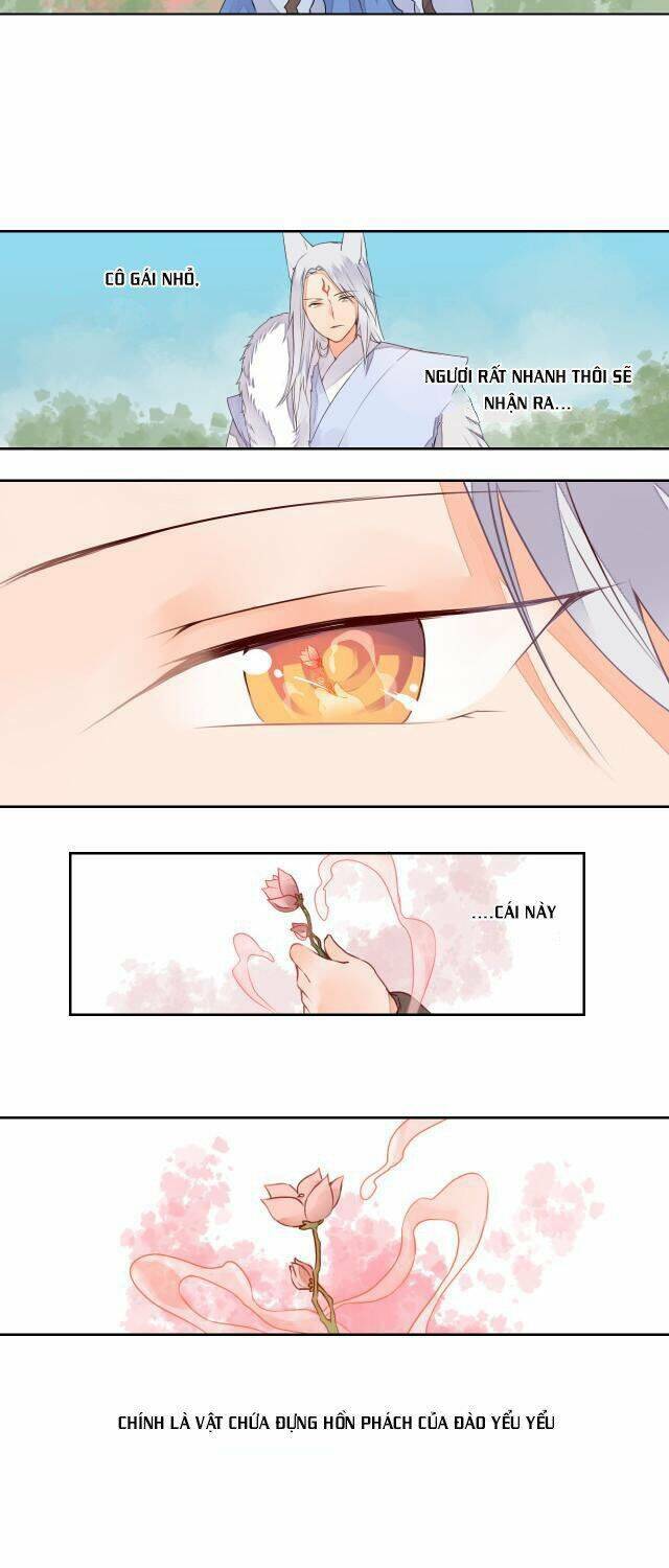 đốt đào hoa chapter 17 14