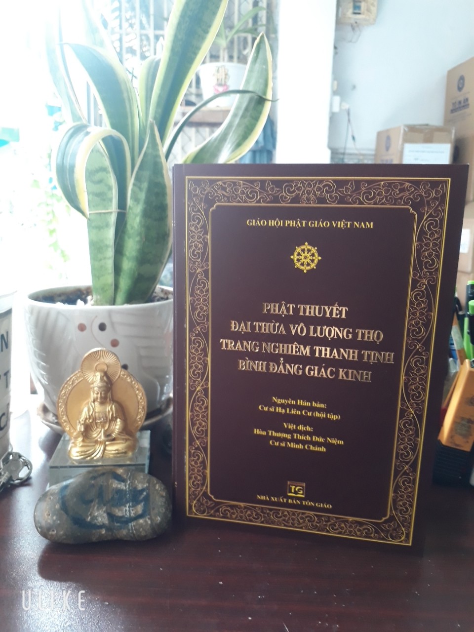 PHẬT THUYẾT ĐẠI THỪA VÔ LƯỢNG THỌ TRANG NGHIÊM THANH TỊNH BÌNH ĐẲNG GIÁC KINH