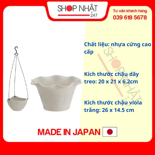 Combo Chậu hoa màu trắng có dây treo 20cm + Chậu hoa viola trắng 26cm nội địa Nhật Bản