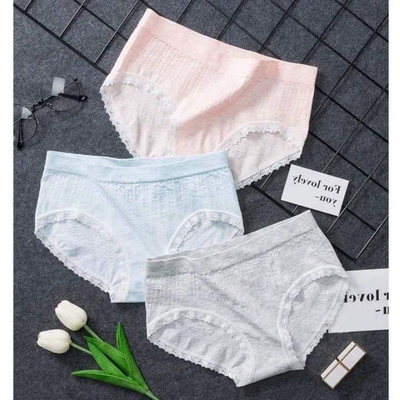 Chuyên sỉ lẻ hộp 5 Quần cotton 365 Dệt Kim kháng khuân Full Hộp Trắng Chính hãng