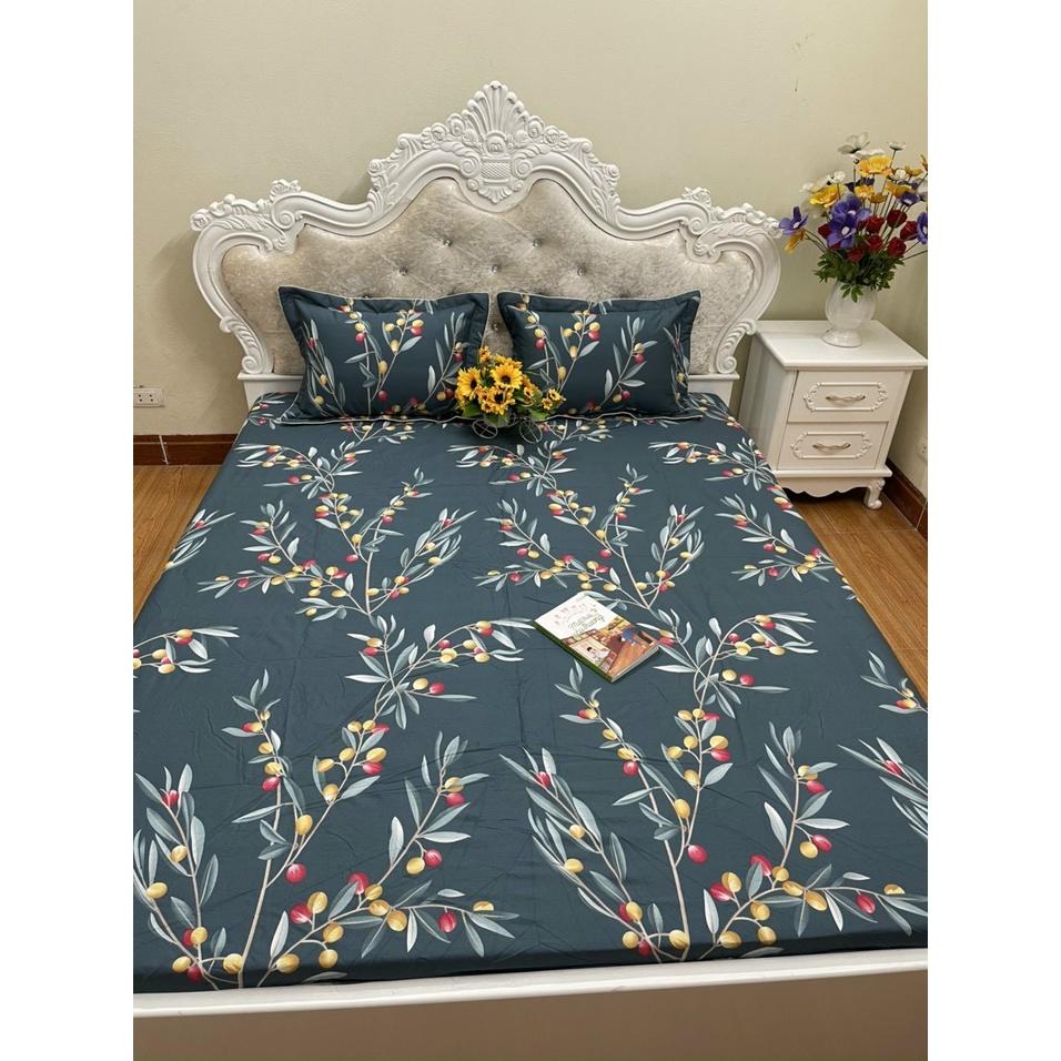 Bộ ga chun trơn và 2 vỏ gối 100% cotton hàn các kích thước