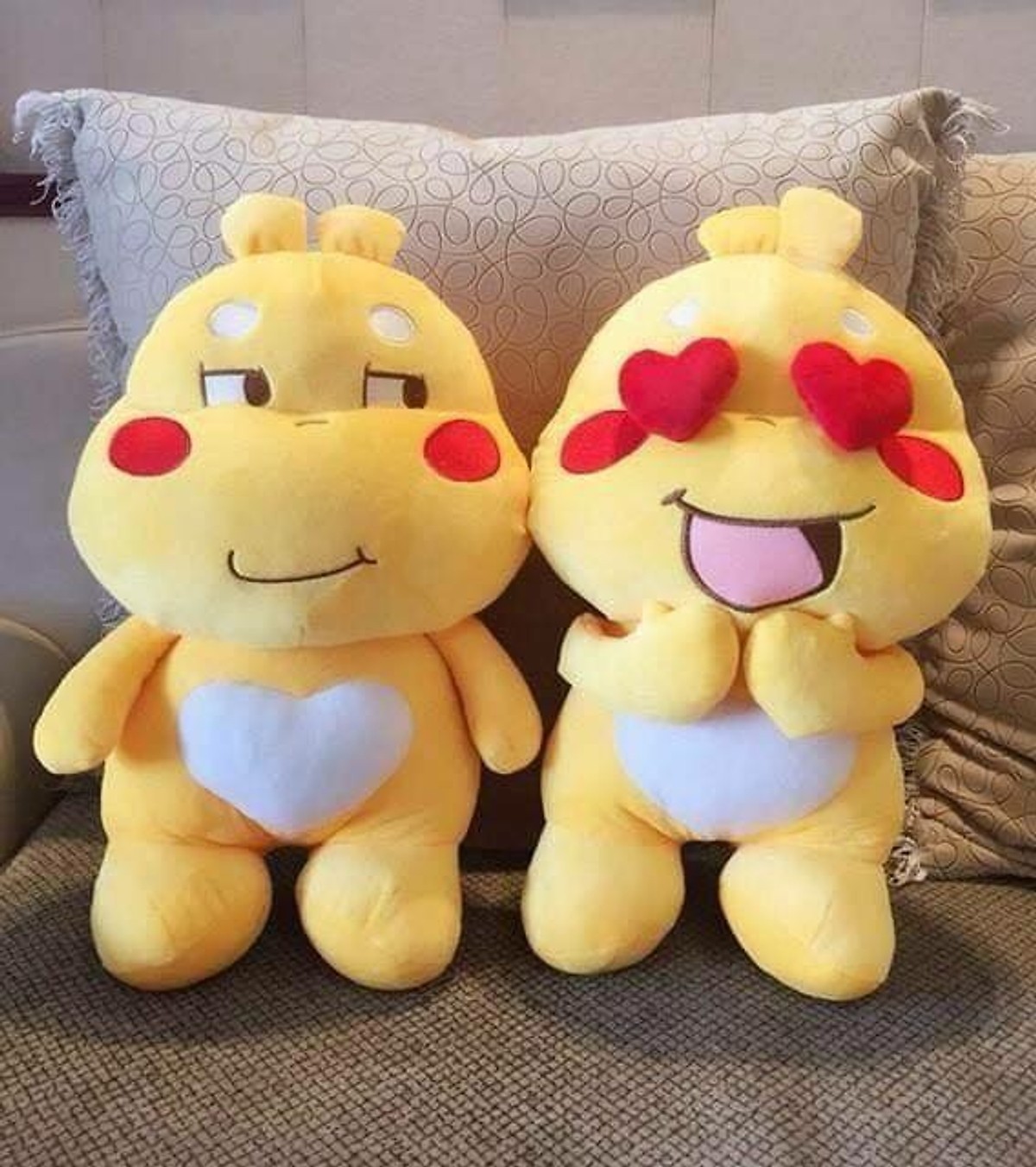 Gấu Bông Qoobee Agapi Đủ Size Đáng Yêu - GB11