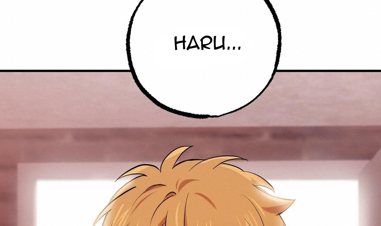 đàn thỏ của habibi chapter 37 134