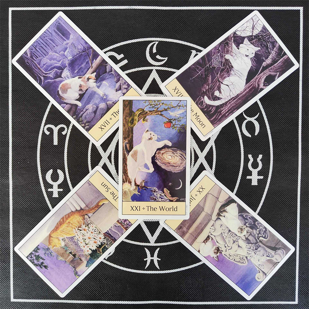 [Size Gốc] Bộ Bài Cat's Eye Tarot 78 Lá Bài 7x12 Cm Bật Mí Ẩn Số Cuộc Sống Của Bạn Từ Loài Mèo