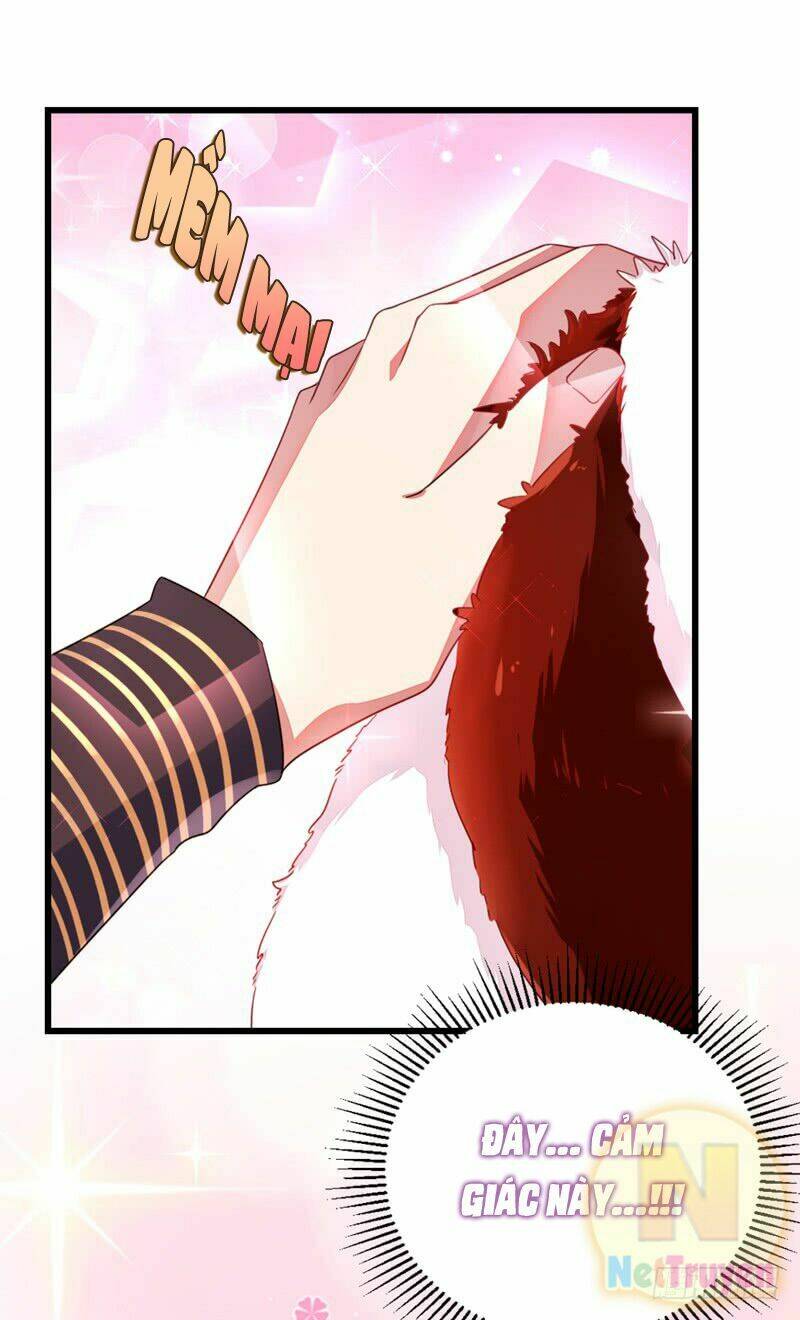 thiên thần gấu trúc muốn được ôm chapter 12 11