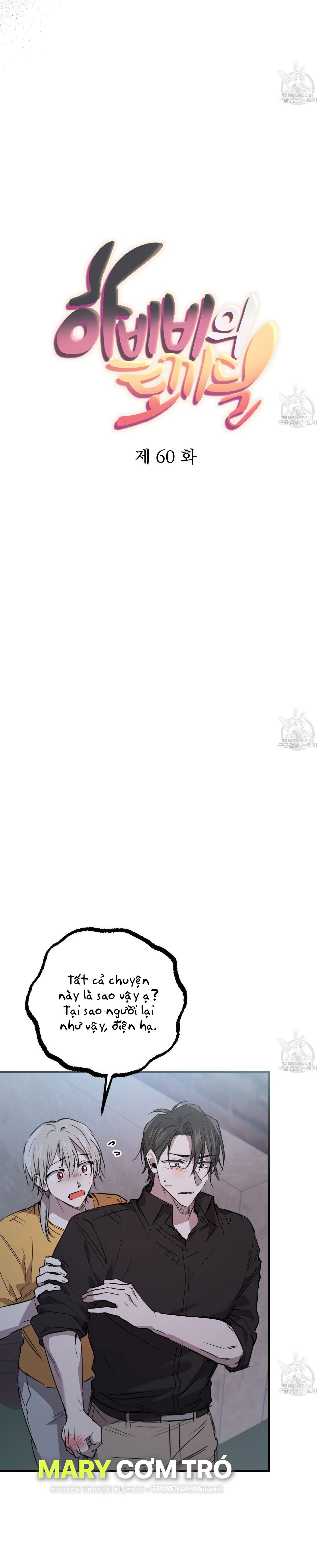 những chú thỏ của hapypy chapter 60.1 7
