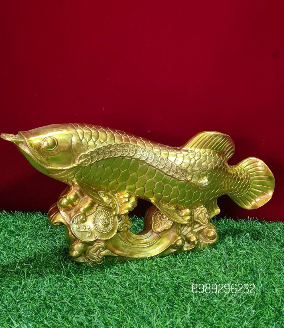 Cá Rồng ngậm tiền - Kim Long Đắc Lộc bằng đồng vàng - Cá Rồng phong thuỷ