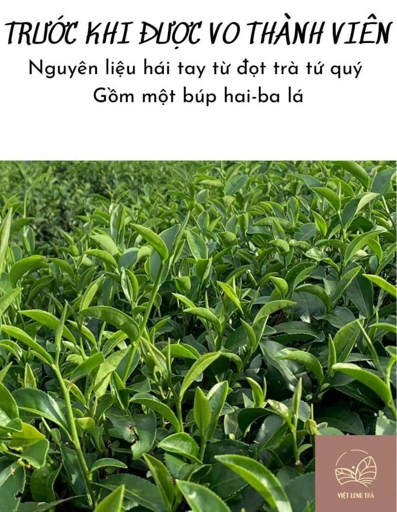 TRÀ OOLONG TỨ QUÝ ĐẶC BIỆT - ORGANIC TEA - 250G