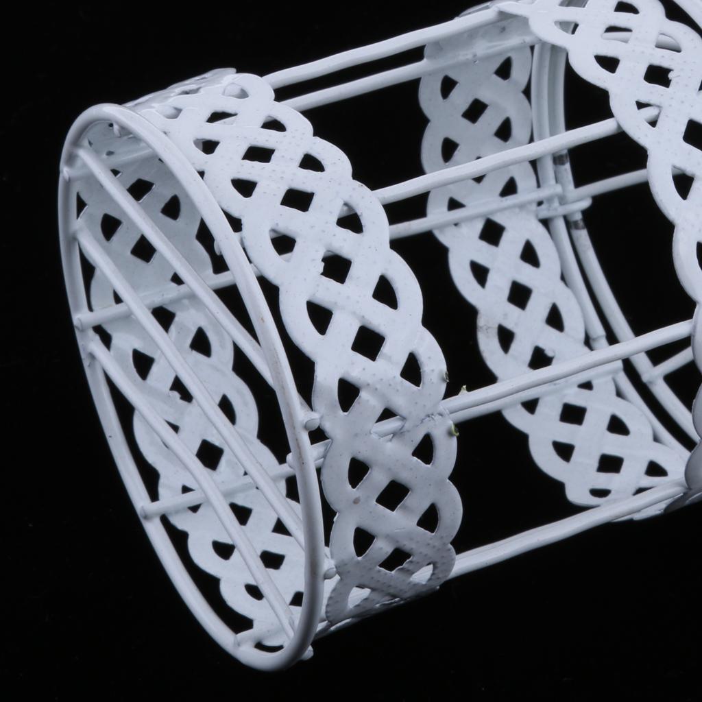 2Pcs Iron Birdcage Frame Wire Succulent Pot Metal Planter Iron Plant Basket