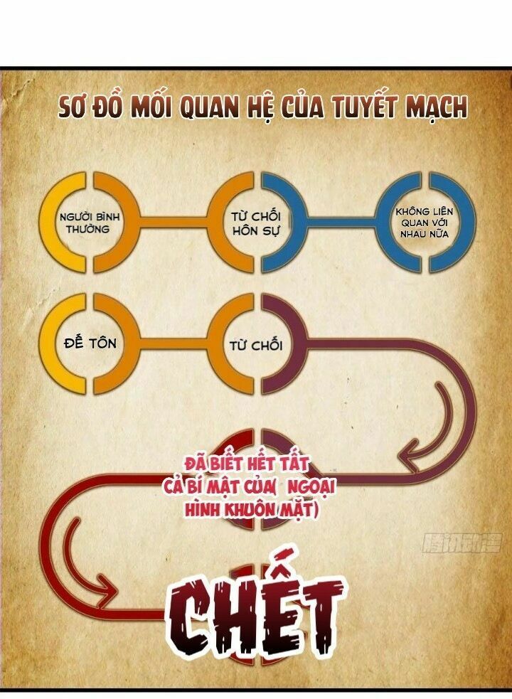 độc bộ thiên hạ: đặc công thần y chapter 207 8