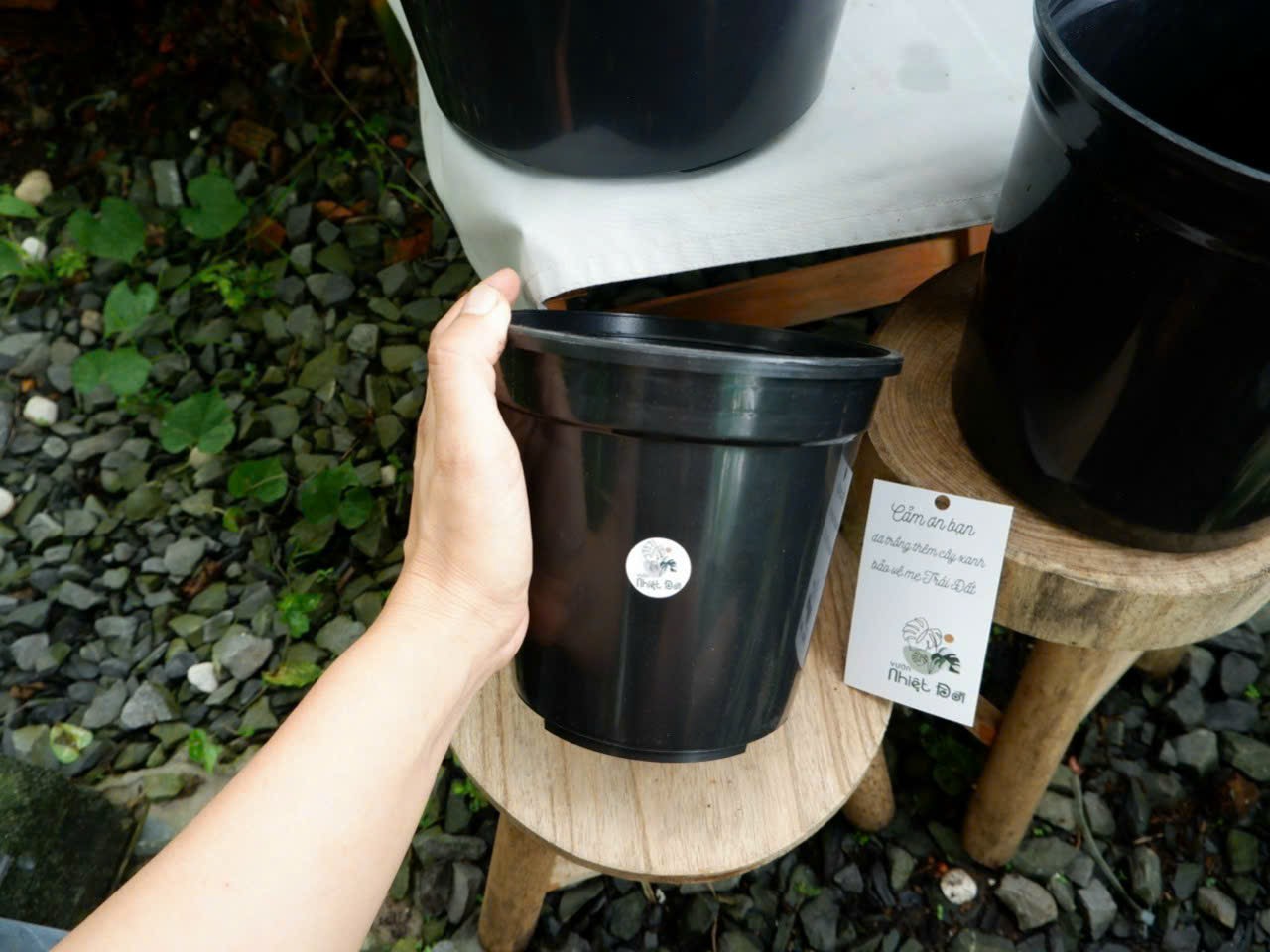 Chậu nhựa đen 14 x 15cm thoát nước tốt, chống bể vỡ, dễ lắp trụ rêu trồng cây