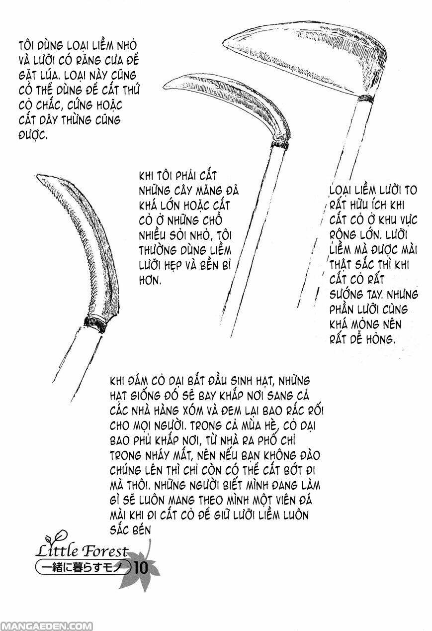 little forest chapter 26 10