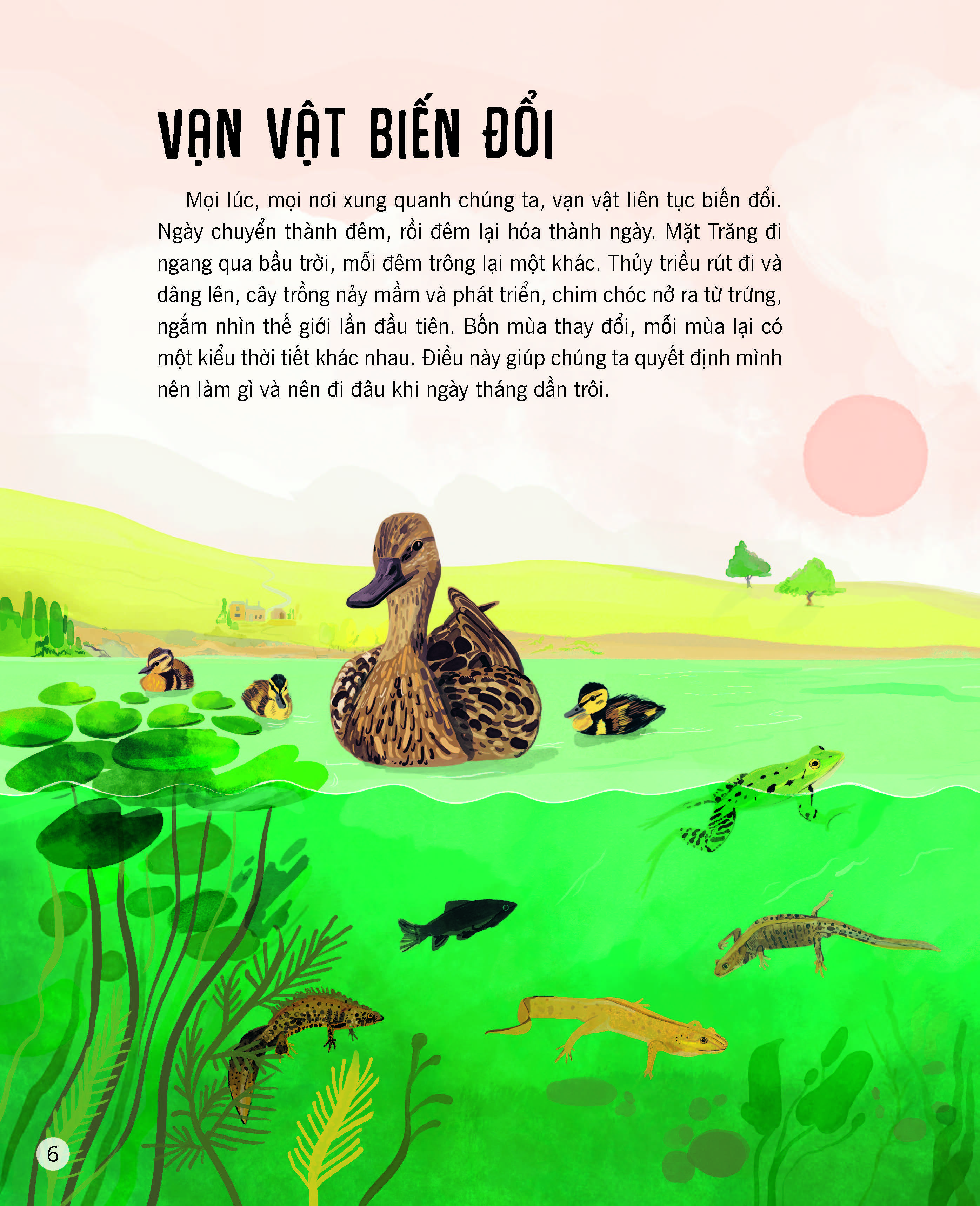Sách - Vạn vật biến đổi - Đinh Tị Books