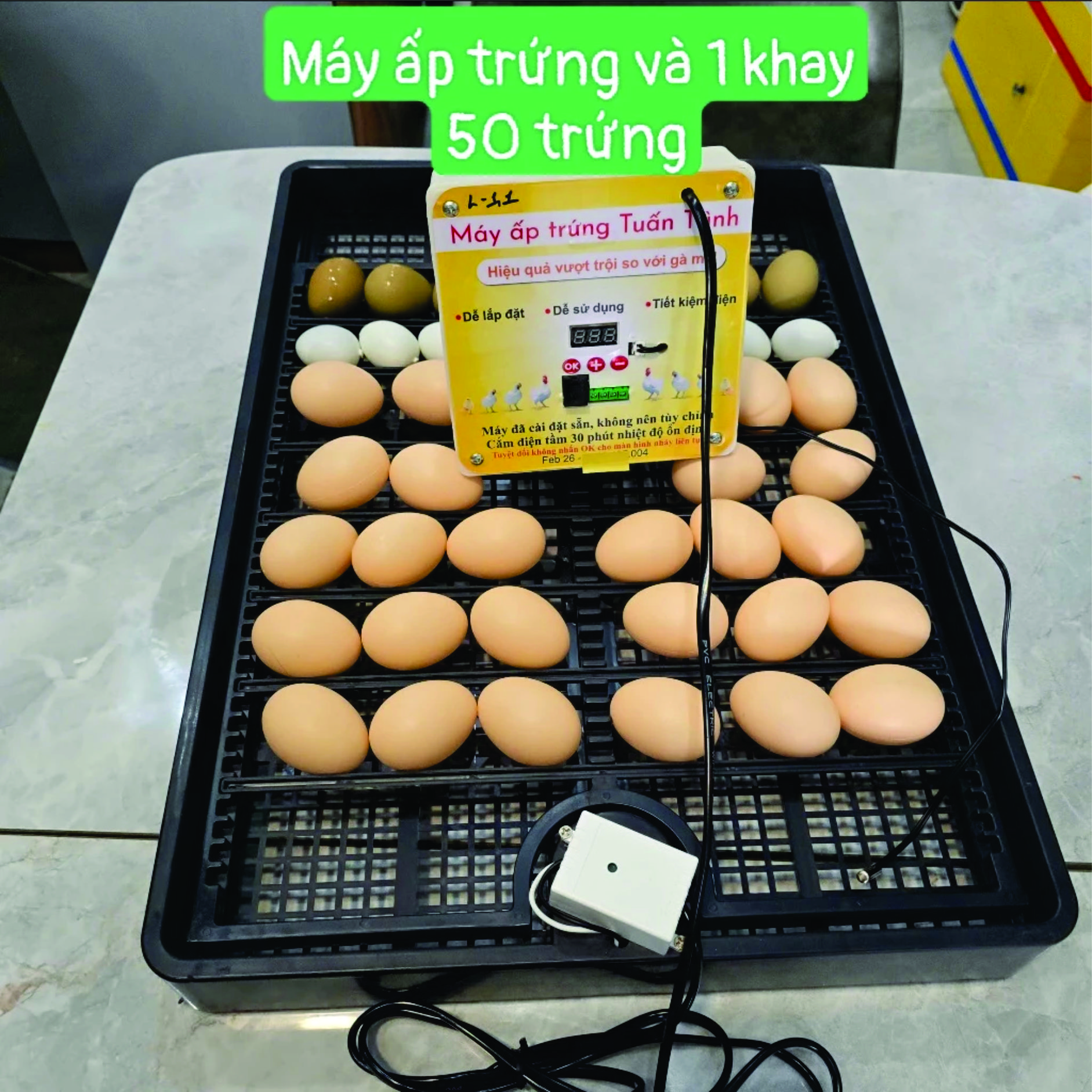 Combo Bộ máy ấp trứng tự động 54 trứng và khay đảo, cho gà vịt ngan ngỗng chim cút, chưa bao gồm thùng xốp