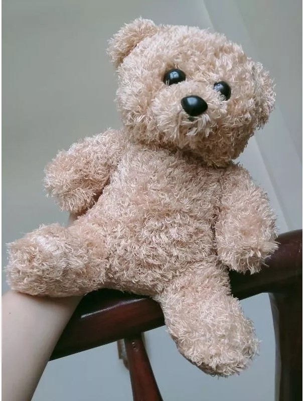 Gấu Teddy lông xù đáng yêu