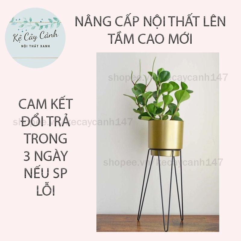 KỆ CÂY CẢNH CỔ ĐIỂN SANG TRỌNG SƠN TĨNH ĐIỆN - CHỊU LỰC TỐT CHO NỘI THẤT HIỆN ĐẠI