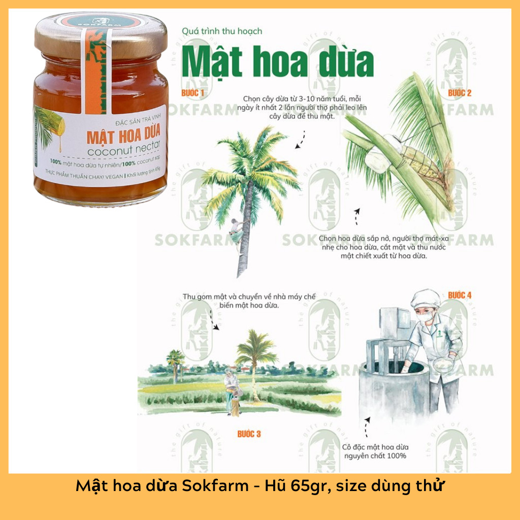 Mật hoa dừa Sokfarm [Hũ 65gr] - Cho người ăn kiêng, tiểu đường, người ĂN THUẦN CHAY và các món chay, giúp cân bằng điện giải, hồi phục sức khỏe và tăng sức đề kháng, nâng cao hệ miễn dịch