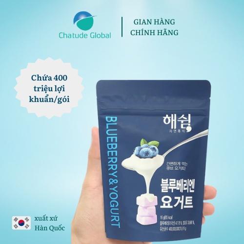 Sữa chua sấy lạnh Haeswim vị Việt quất cho bé 7m+