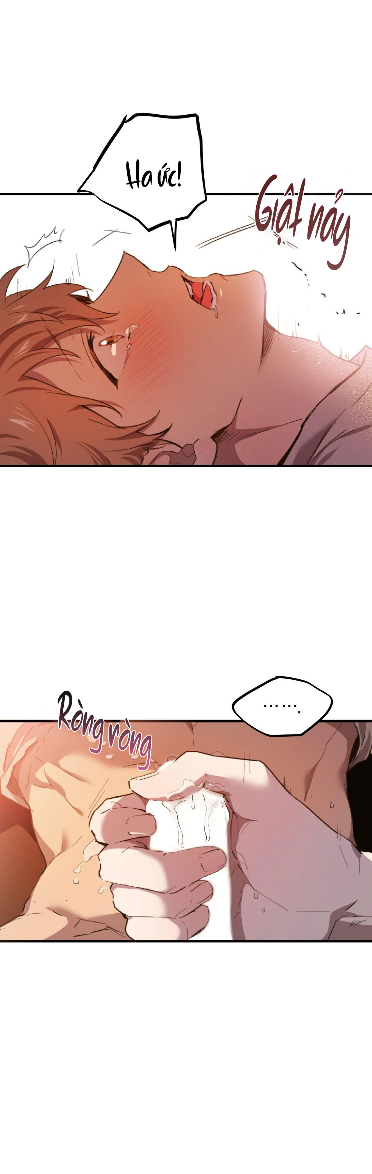 những chú thỏ của hapypy chapter 33 39