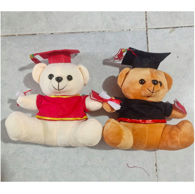 Thú bông gấu tốt nghiệp - tặng túi gói quà và nơ