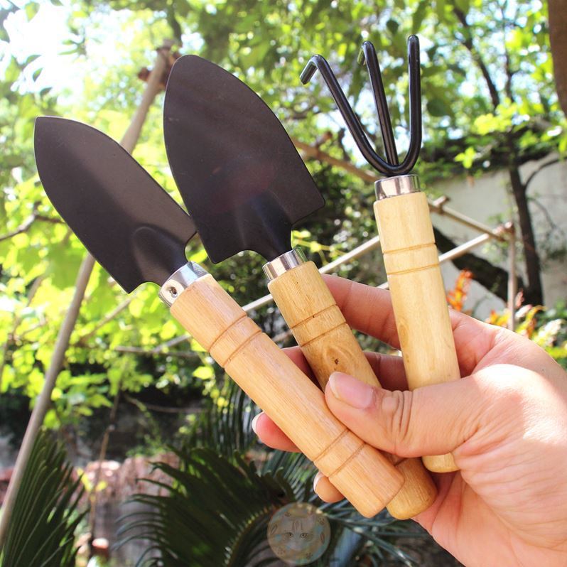 Dụng Cụ Làm Vườn Mini Trồng Hoa, Sen Đá, Xương Rồng - Bộ 3 Món Size Trung và Mini, Cán Gỗ Nhỏ Gọn Cho Gia Đình