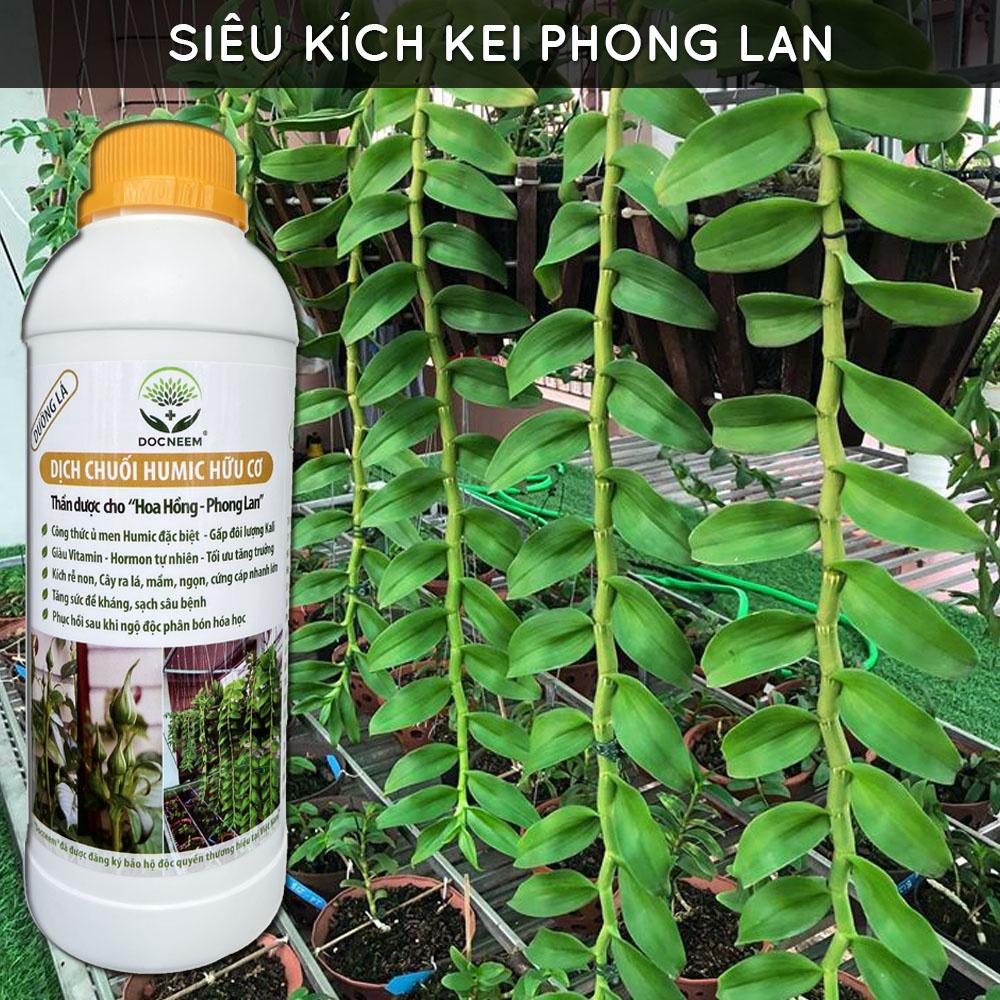 Dịch Chuối Humic hữu cơ DocNeem - giúp chồi rễ phát triển mạnh