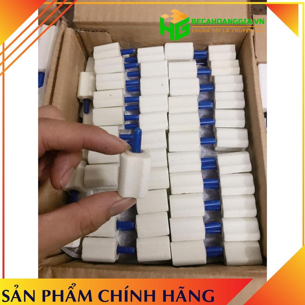 Quả Sủi Thái Lan Cho Bể Cá Cảnh