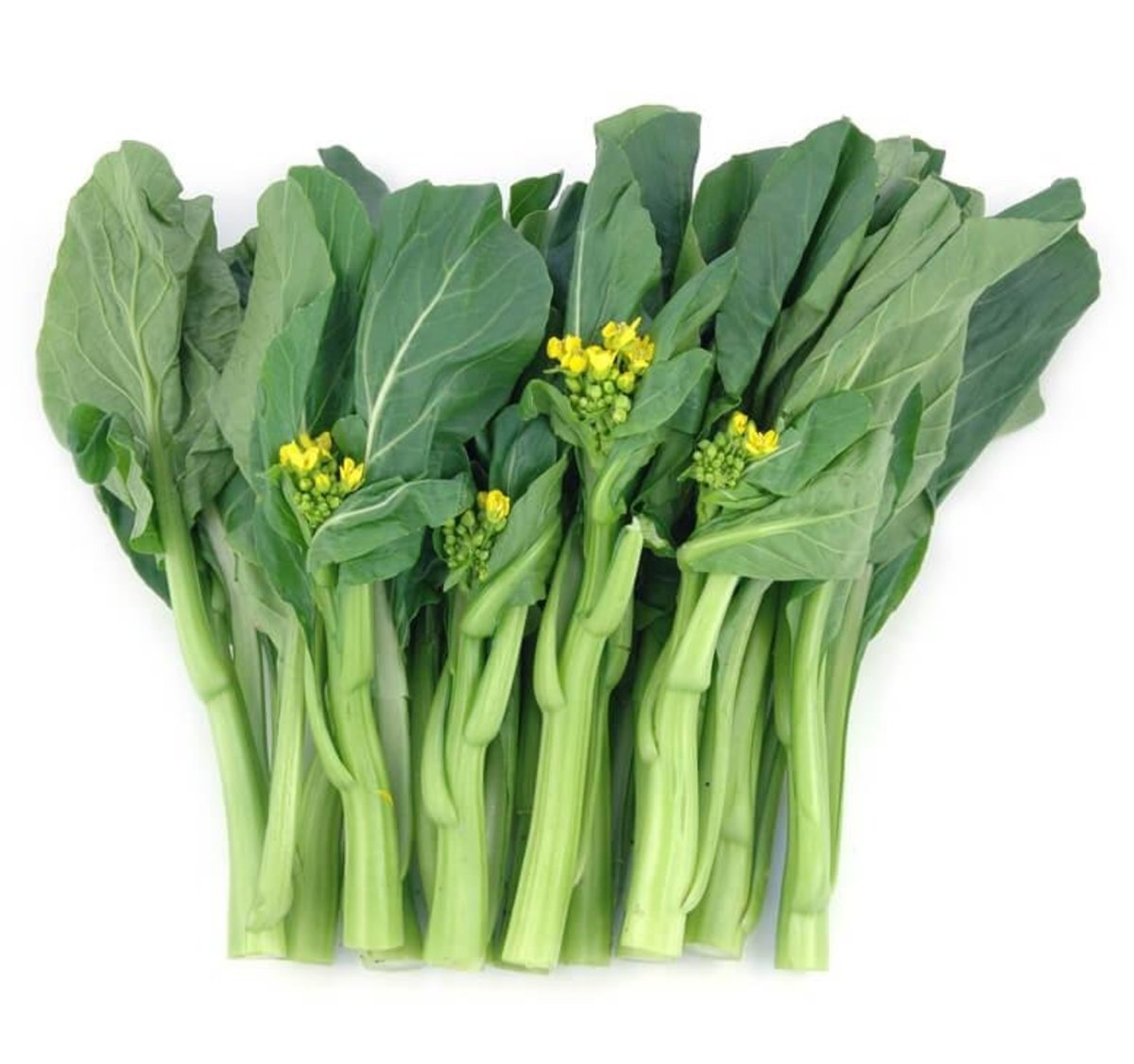 20 gam hạt giống cây Cải Ngọt ăn bông