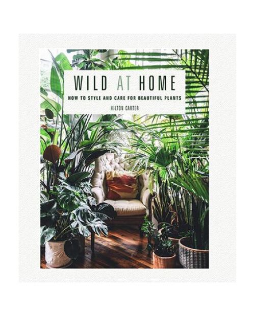 Wild At Home: How To Style And Care For Beautiful Plants