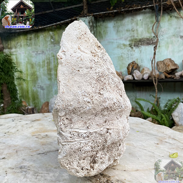 Ngọc sò tai tượng thô vẻ đẹp của đại dương - 10kg - VST10