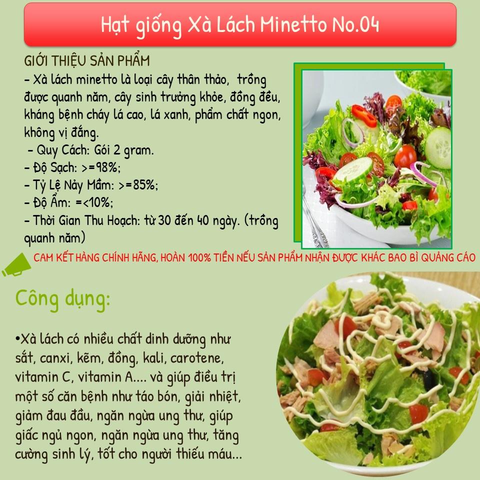 Hạt Giống Xà Lách Minetto - Hạt Giống Chất Lượng - Phú Nông Seeds