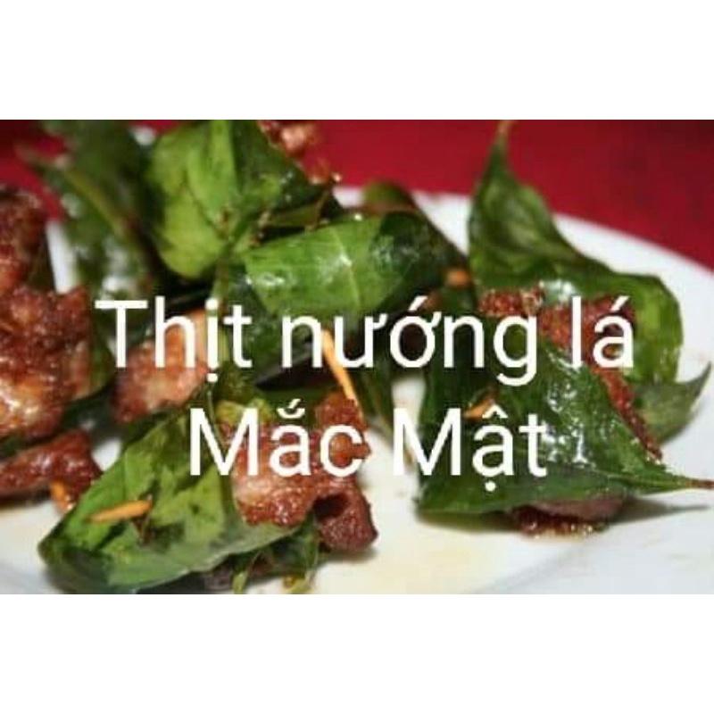 Cây giống mắc mật